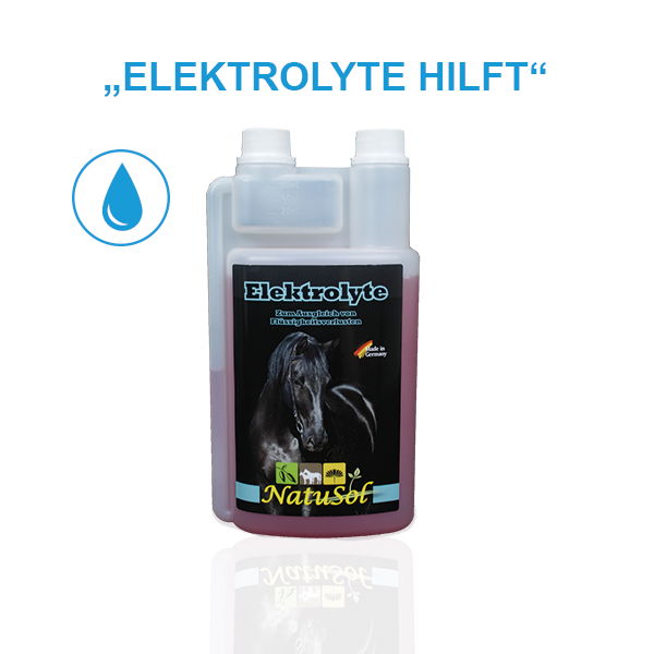 Elektrolyte 1000ml - Ergänzungsfuttermittel für Pferde